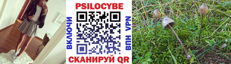 Псилоцибиновые грибы GOLDEN TEACHER  цена   Билибино 